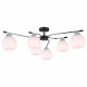 Потолочная люстра ILLUMICO LIBRA IL0638-6CSQ-24 CR BK LIBRA