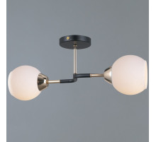 Светильник на штанге ILLUMICO LIBRA IL0689-2CSQ-24 BK FGD LIBRA