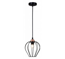 Подвесной светильник ILLUMICO  IL2001-1PA-05 BK ROSE GD