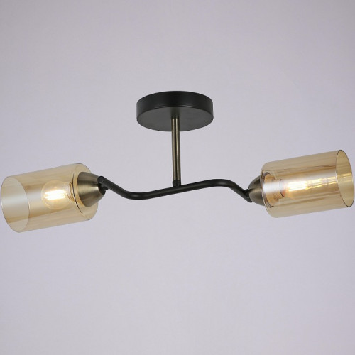 Светильник на штанге ILLUMICO Bice IL8148-2COU-79 BK BR Bice