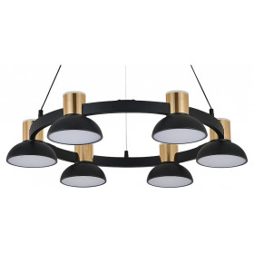 Подвесная люстра Indigo Traforo 11059/6P Black