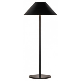 Настольная лампа декоративная Kink Light Паола 07210-T,19