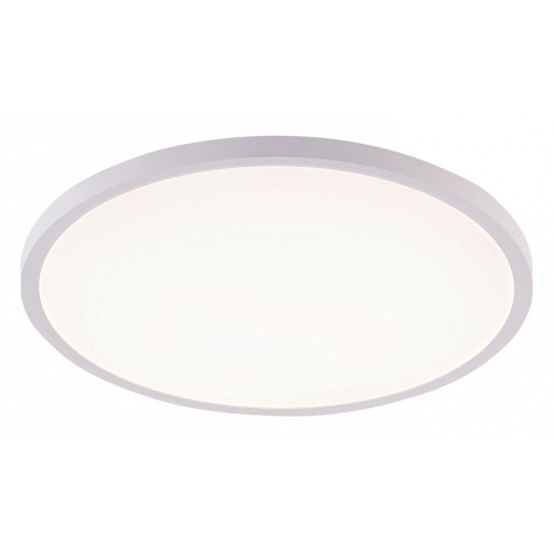 Накладной светильник Natali Kovaltseva PLAIN LED LAMPS 81113/4C