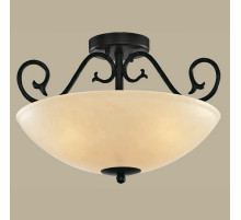 Светильник на штанге L'Arte Luce Napoli L13853.03