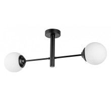 Светильник на штанге Lampit FINO TP 2007-2 BK