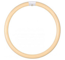 Лампа компактная люминесцентная Lucide 50300 G10q 32Вт 2700K 50300/32/31