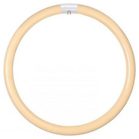 Лампа компактная люминесцентная Lucide 50300 G10q 32Вт 2700K 50300/32/31