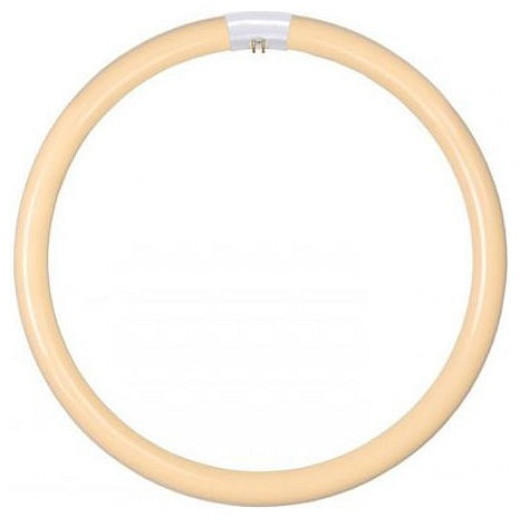 Лампа компактная люминесцентная Lucide 50300 G10q 32Вт 2700K 50300/32/31