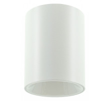 Накладной светильник LIGHTERA Shamrock LE201CL-1WB