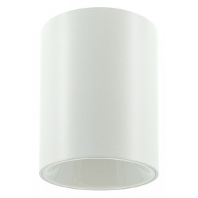 Накладной светильник LIGHTERA Shamrock LE201CL-1WB