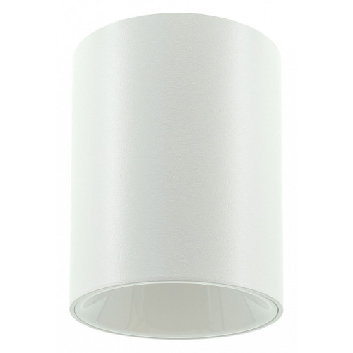 Накладной светильник LIGHTERA Shamrock LE201CL-1WB