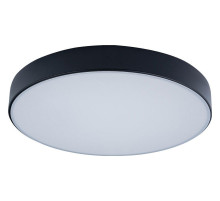 Накладной светильник Loft it Axel 1 10002/24 Black