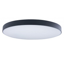 Накладной светильник Loft it Axel 1 10002/48 Black