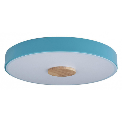 Накладной светильник Loft it Axel 2 10003/24 Blue