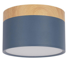 Накладной светильник Loft it Grape 10162 Blue