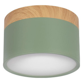Накладной светильник Loft it Grape 10162 Green
