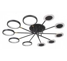 Потолочная люстра Loft it Megan 10164M Black