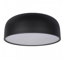 Накладной светильник Loft it Axel 10201/480 Black