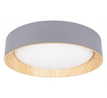 Накладной светильник Loft it Coin 10202 Grey