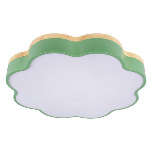 Накладной светильник Loft it Axel 10225/36 Green