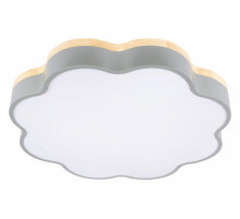 Накладной светильник Loft it Axel 10225/36 Grey