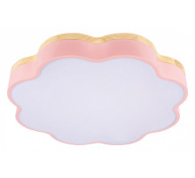 Накладной светильник Loft it Axel 10225/36 Pink