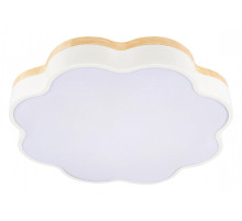 Накладной светильник Loft it Axel 10225/36 White