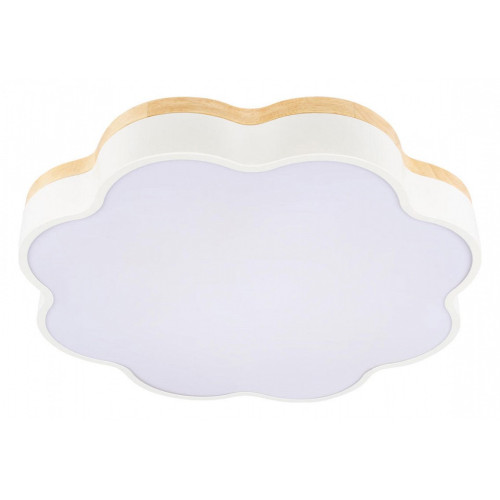 Накладной светильник Loft it Axel 10225/36 White