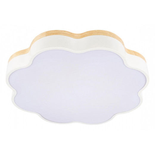 Накладной светильник Loft it Axel 10225/36 White