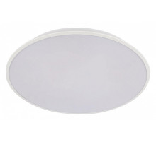 Накладной светильник Loft it Brim 10226 White