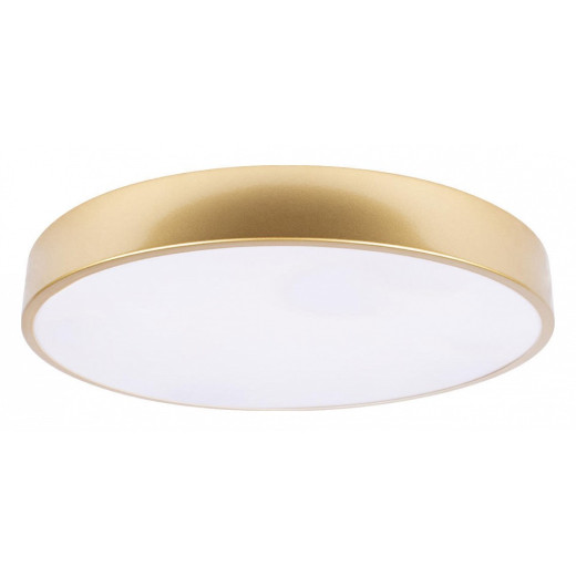 Накладной светильник Loft it Flims 10228/A