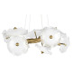 Подвесная люстра Loft it Bloom 10352/650 AB