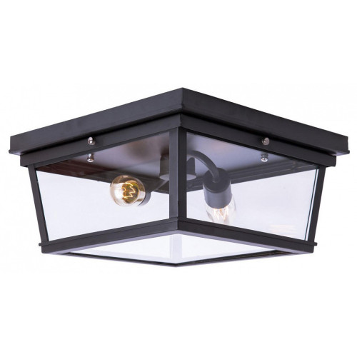 Накладной светильник Loft it Modern Filament LOFT3110-2C