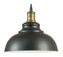 Подвесной светильник Lumion Dario 3675/1