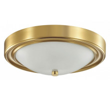 Накладной светильник Lumion Nina 5259/2C