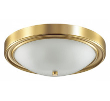 Накладной светильник Lumion Nina 5259/3C