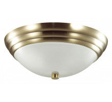 Накладной светильник Lumion Kayla 5262/2C