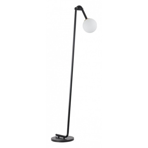 Торшер Lumion Dexter 6500/1F