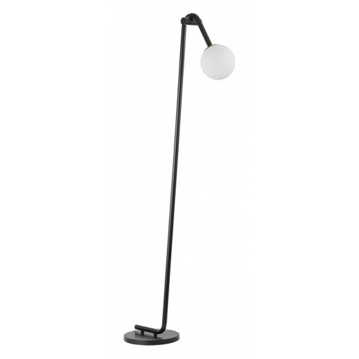 Торшер Lumion Dexter 6500/1F