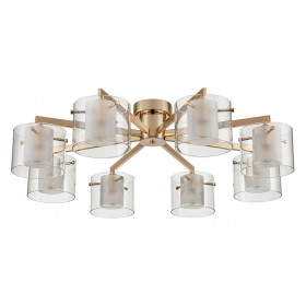 Потолочная люстра Lumion Verdi 6587/8C