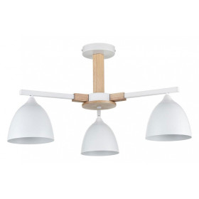 Люстра на штанге Lumion Colange 8095/3C