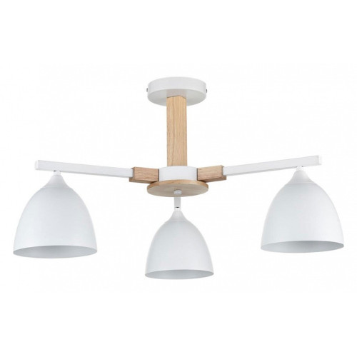 Люстра на штанге Lumion Colange 8095/3C