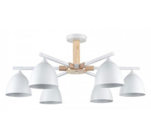 Люстра на штанге Lumion Colange 8095/6C