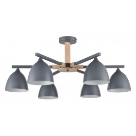 Люстра на штанге Lumion Colange 8096/6C