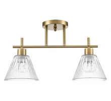 Светильник на штанге Lumion Vivian 8188/2C