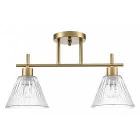 Светильник на штанге Lumion Vivian 8188/2C