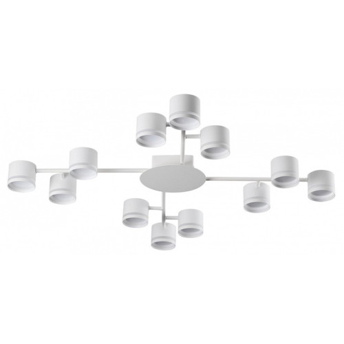 Потолочная люстра Lumion Gareta 8235/12C