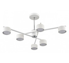 Люстра на штанге Lumion Karina 8241/6C