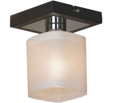 Светильник на штанге Lussole Costanzo LSL-9007-01