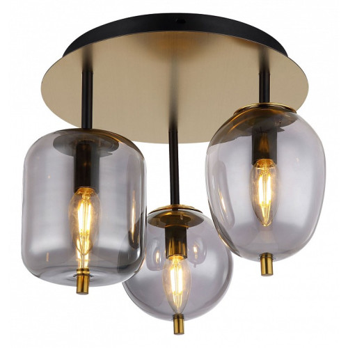 Потолочная люстра Lussole Brockton LSP-8730